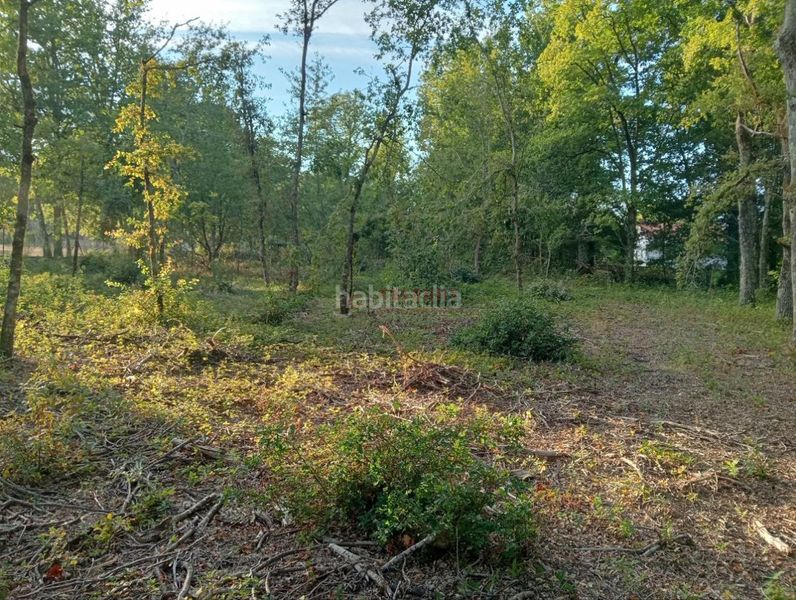 Foto f12d169e-5451-42fd-8395-14f4ff1f6be6. Wohngrundstück in San Cibrao das Viñas