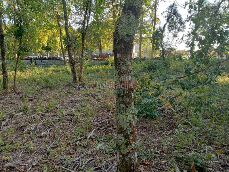 Foto fe253bf6-8936-46ff-b0a2-06b2e084e006. Wohngrundstück in San Cibrao das Viñas