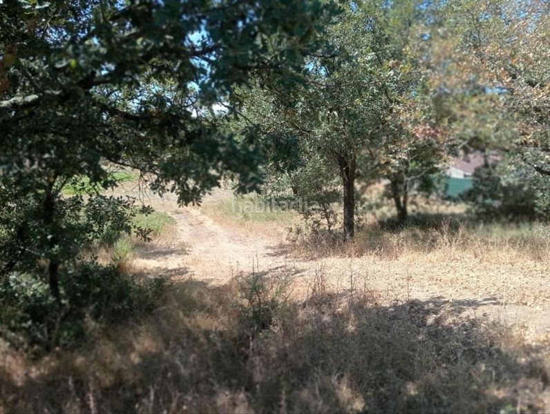 Foto bf5bd021-e6d1-4010-bf02-40911b3dcb18. Terreny residencial a Barrocanes Ourense