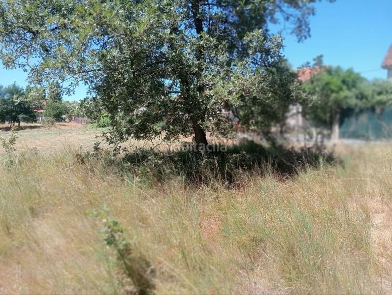 Foto c1eef1b1-6404-4d2e-a59e-ed96b19b9071. Terreny residencial a Barrocanes Ourense