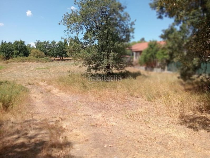 Foto d81ca90c-c6ba-45f5-a943-c55ded929660. Terreny residencial a Barrocanes Ourense