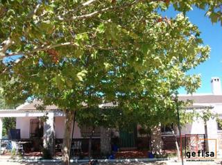 Masia a Valdepeñas. Casa de campo en venta en carretera moral, 3 dormitorios.