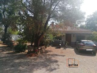 Masia a Valdepeñas. Finca en venta en sabeco, 5 dormitorios.