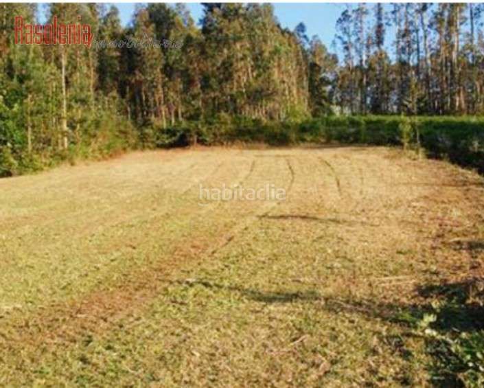 Foto 0ba6955f-1576-42a2-816b-216d85b7dd15. Finca rústica a campiña 15 a Bergondo