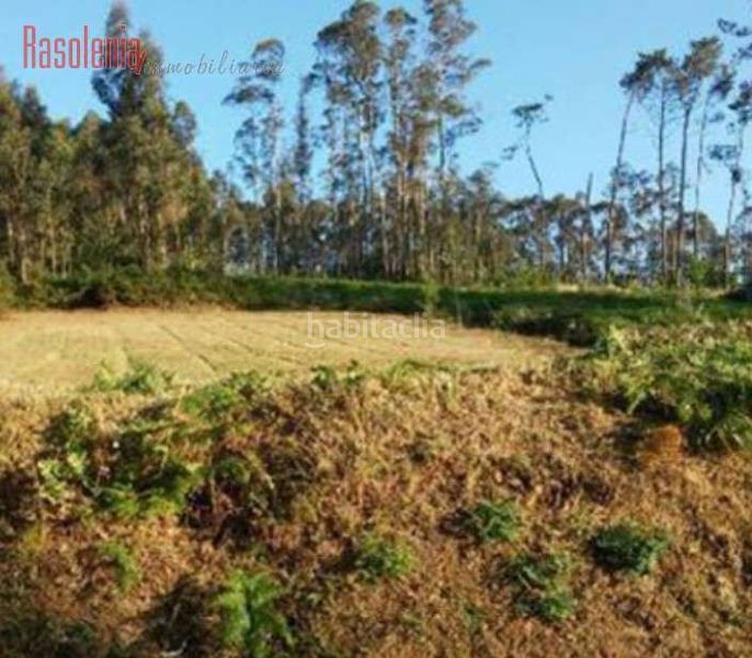 Foto 44779a10-3a7c-4811-843d-9db87da9daf9. Finca rústica a campiña 15 a Bergondo