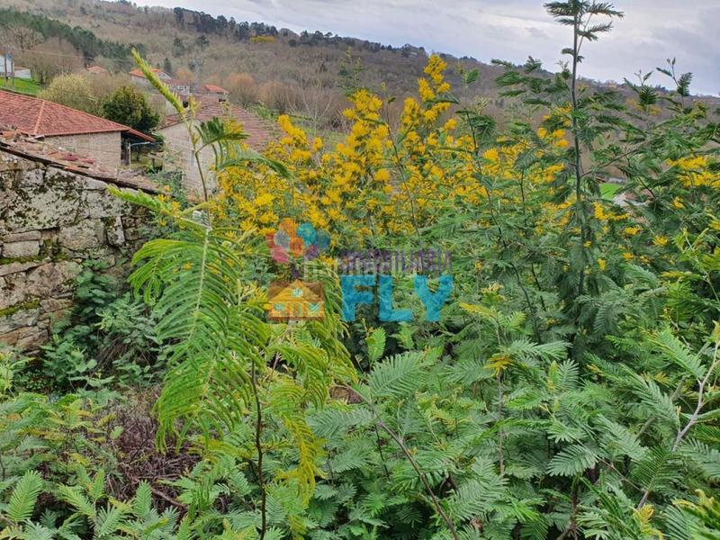 Foto 44f2b32b-5bcd-45fc-b4ca-989ae30370e5. Haus mit heizung in Amoeiro