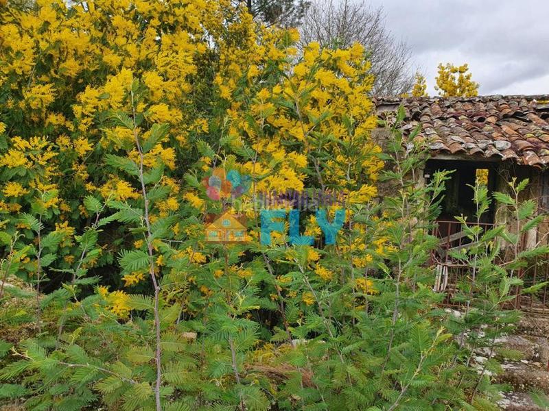 Foto 4c98d8ad-bbf8-47fa-805a-379b0d7fd6c9. Haus mit heizung in Amoeiro