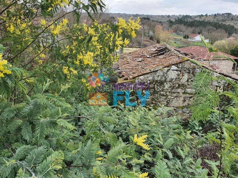 Foto 0c4c4756-47af-447c-915a-5929db97c84e. House with heating in Amoeiro