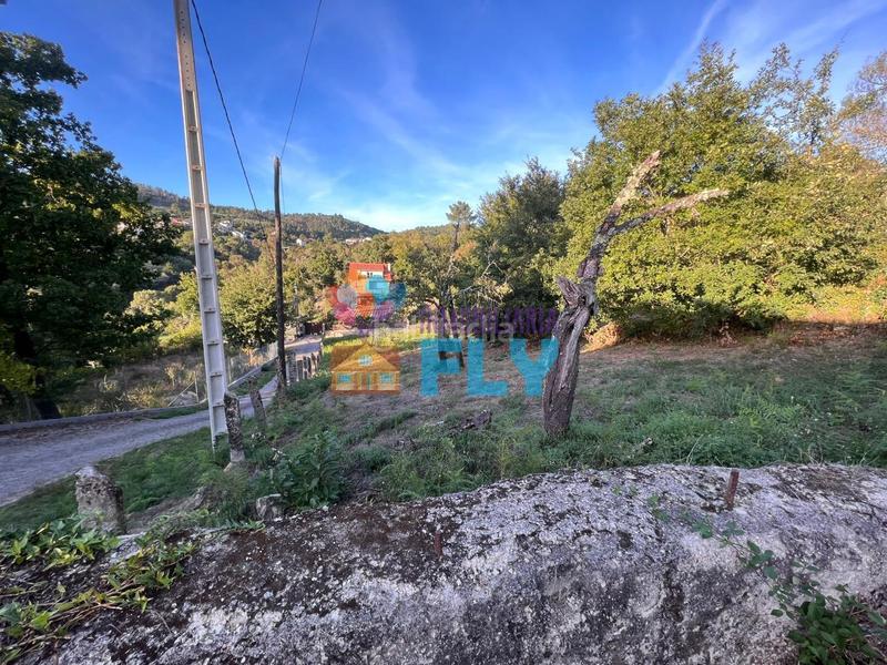 Foto 1a2dcbfd-3d34-4f62-b988-406c8c641d1b. Terreno residencial en Pereiro de Aguiar (O)