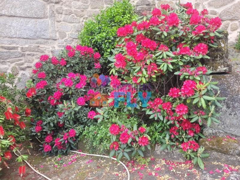 Foto 1db130c1-b387-4883-b54f-cef46893fd80. Casale con riscaldamento parcheggio in Beade