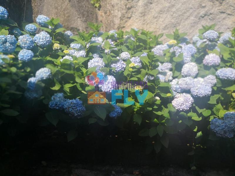 Foto 7ab8f48c-bf6e-4187-aa48-65cfa5189d13. Casale con riscaldamento parcheggio in Beade