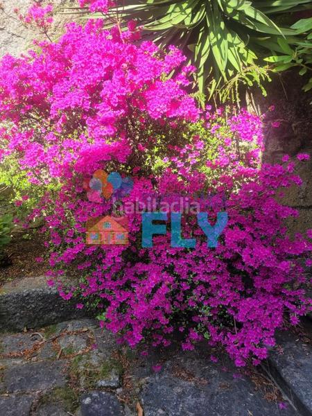 Foto dc7cdf15-9d80-40de-a2ad-95928002bccb. Casale con riscaldamento parcheggio in Beade