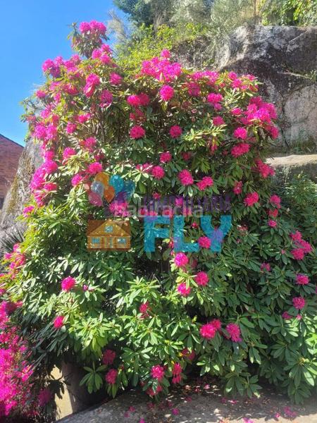 Foto 6d7e811c-7862-4051-b7f6-768ca18a2d3f. Mas avec chauffage parking dans Beade