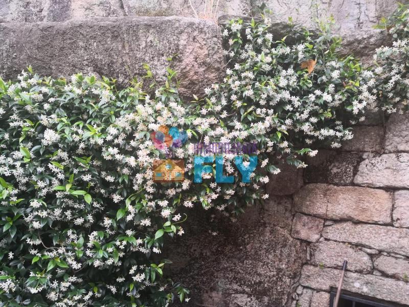 Foto 87cc52f9-a27c-4b49-93af-cb35229b9e9a. Mas avec chauffage parking dans Beade