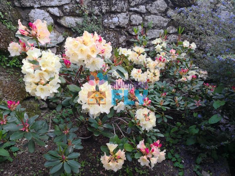 Foto d1e0b48b-8562-4f78-b9be-7af6c3763fad. Mas avec chauffage parking dans Beade