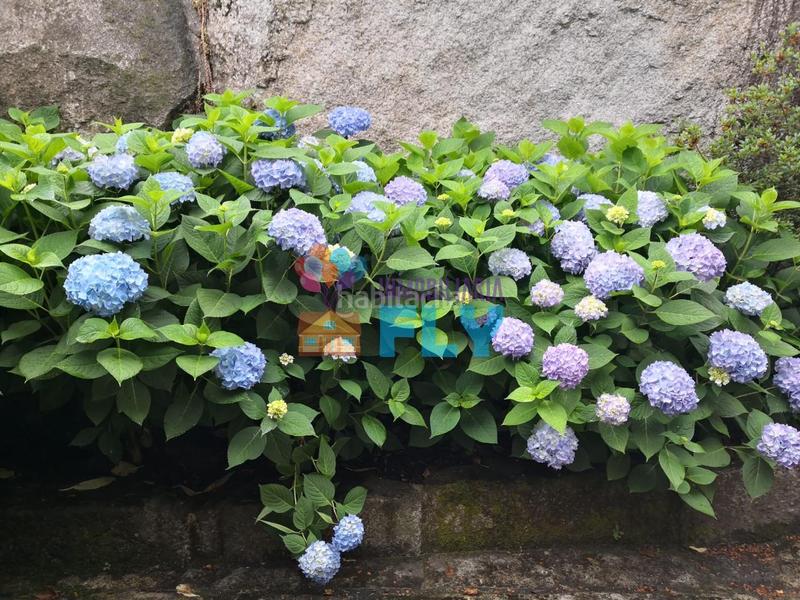 Foto d53d01a1-8b7a-46bb-9059-008dbbbc061b. Mas avec chauffage parking dans Beade