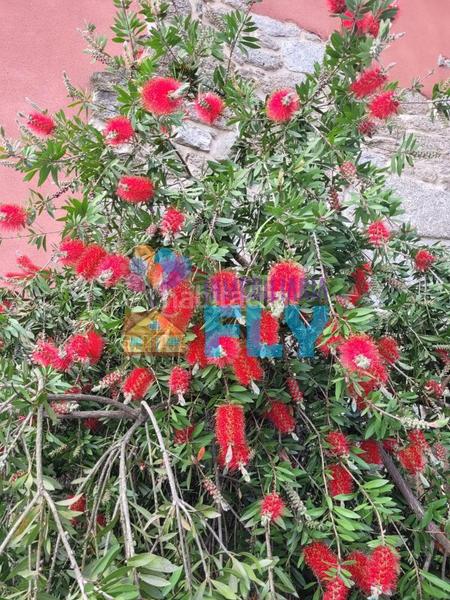 Foto f4cf8eab-fe0d-46ce-b566-7f07005fecda. Mas avec chauffage parking dans Beade