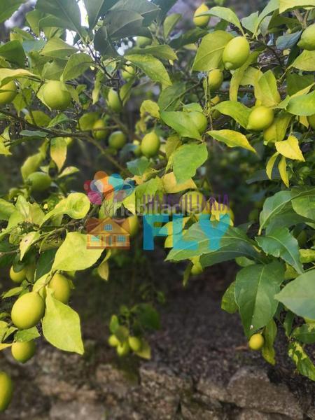 Foto 0dfe13d1-f6fc-4a47-92ea-e303345244ab. Casale con parcheggio in Beade