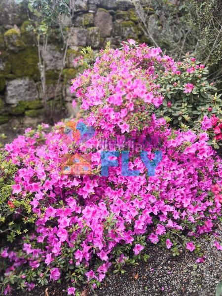 Foto 21f3ed9a-c644-4de0-aad6-be75d96b7826. Casale con parcheggio in Beade