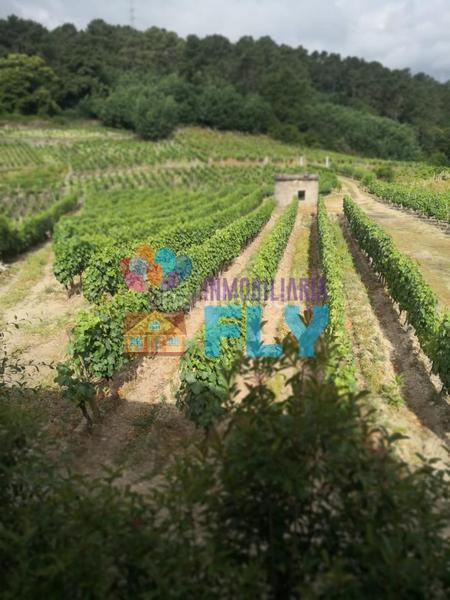 Foto 50cc6a82-9310-4be1-b454-0f667e61b37c. Casale con parcheggio in Beade