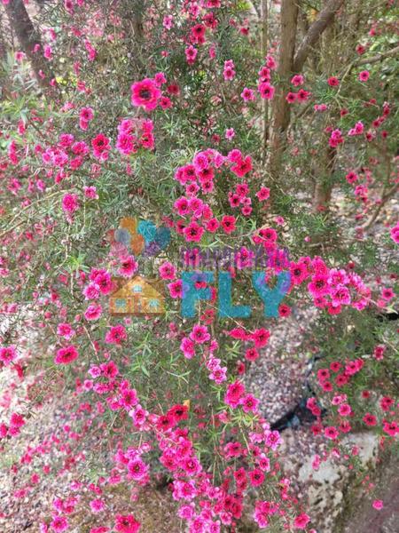 Foto 51e0cb12-4f0a-464b-b991-b9b19e6c6af5. Casale con parcheggio in Beade