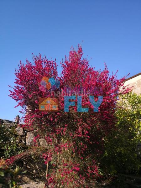 Foto 6d7b36b5-7433-4505-80f5-16ba88c30746. Casale con parcheggio in Beade