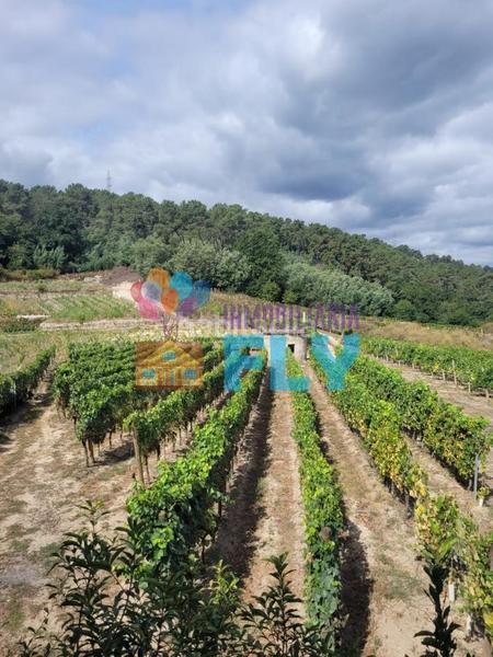 Foto 75a3820a-c85c-4a95-b2f6-15cef215dd18. Casale con parcheggio in Beade