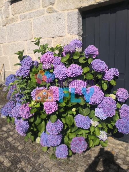 Foto 8aa8ce96-11ed-4f84-88bc-daa9a0077eac. Casale con parcheggio in Beade