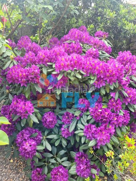 Foto 8cea8f7c-07df-41b2-adcc-6999d26cccb1. Casale con parcheggio in Beade