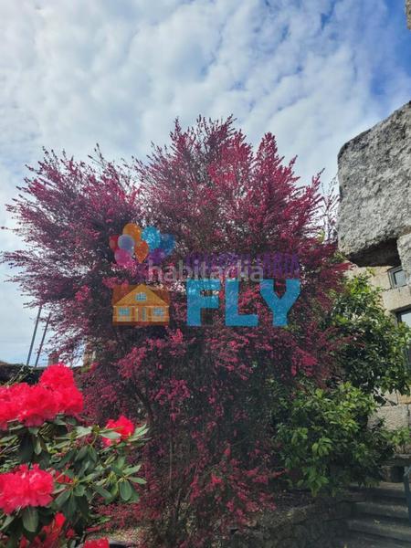 Foto a1cc2163-b67a-4750-b0c4-cfc7d2841b3b. Casale con parcheggio in Beade