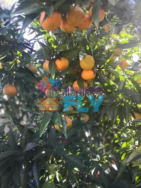 Foto a845d9f3-cb3e-46c8-b3a8-eabd458c182c. Casale con parcheggio in Beade