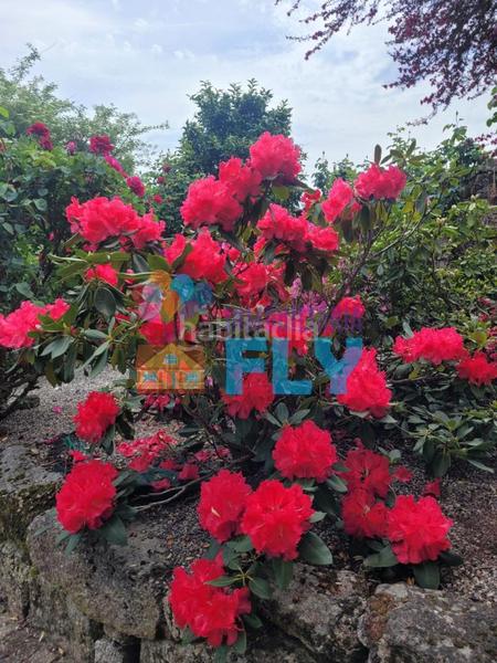 Foto dd1eb1cb-8d54-4ed4-b7c9-f2f5343f199f. Casale con parcheggio in Beade