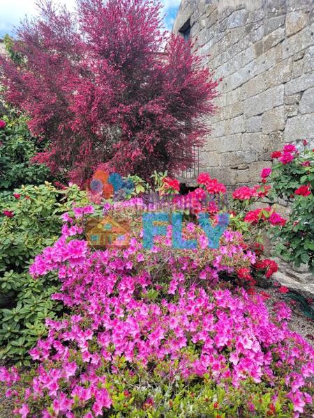 Foto e49432f8-f116-4321-8853-50163bdd6375. Casale con parcheggio in Beade