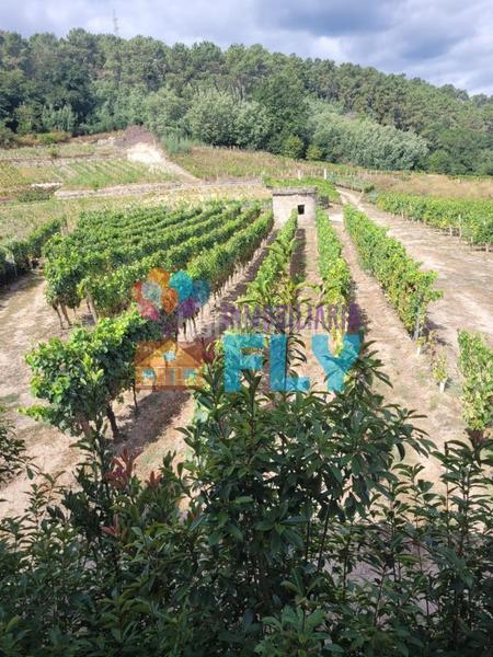 Foto ece362ad-c434-4d25-a5f8-29b84040f4e2. Casale con parcheggio in Beade