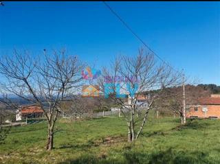 Terreny residencial a Celanova
