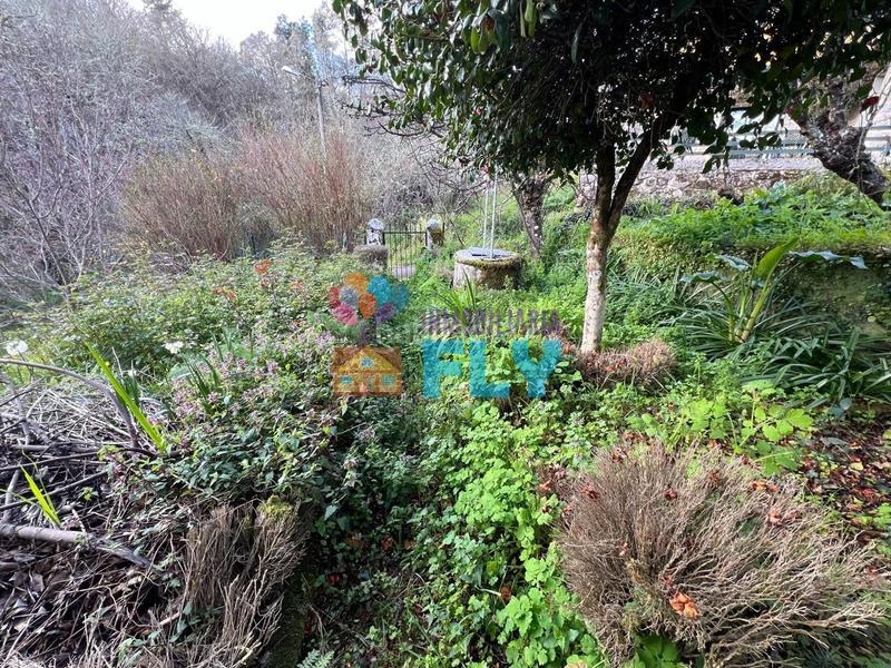 Foto 52d30dbd-ca4c-4d7d-bc89-2e8e23e273f6. Casa en Ventiun Ourense