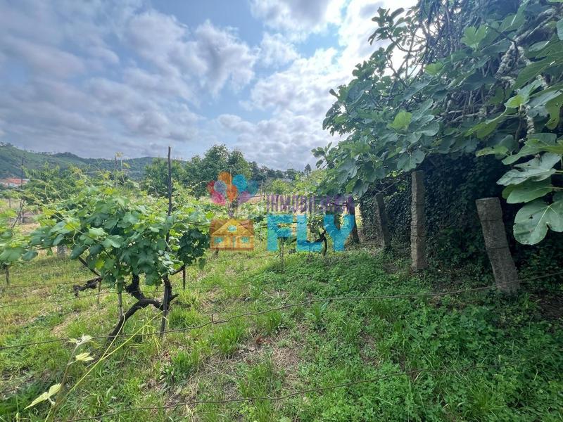 Foto a4f9f94d-ff5f-48f8-bf19-f4f3e494abed. Chalet mit parking in As Lagoas Ourense