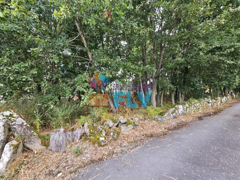 Foto f7c71dd8-41f3-40c6-b2c4-e8c0f9adf288. Residential plot in Paderne de Allariz