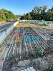 Propriété à Taboadela