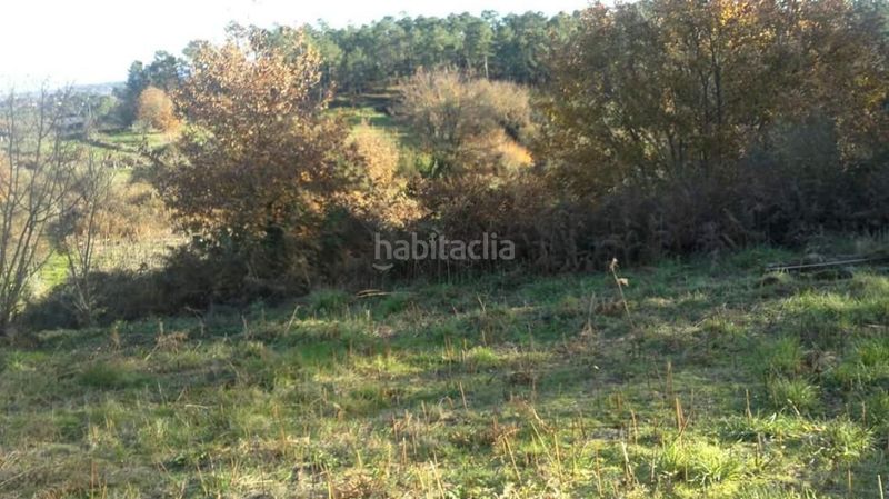 Foto e1db854d-7c6e-4883-9f58-ae5c661db826. Casa a Maside