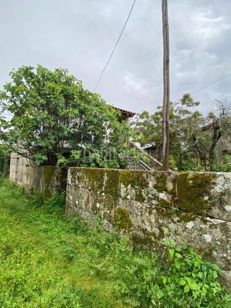 Foto 4ba38732-89e7-4182-a271-2a1950734515. Casa a Amoeiro