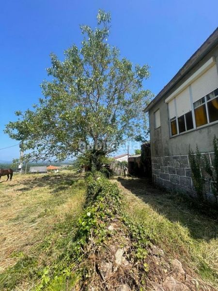 Foto 10ce31b5-665c-497d-95c9-5d0e6c14cca3. Casa a Sarreaus