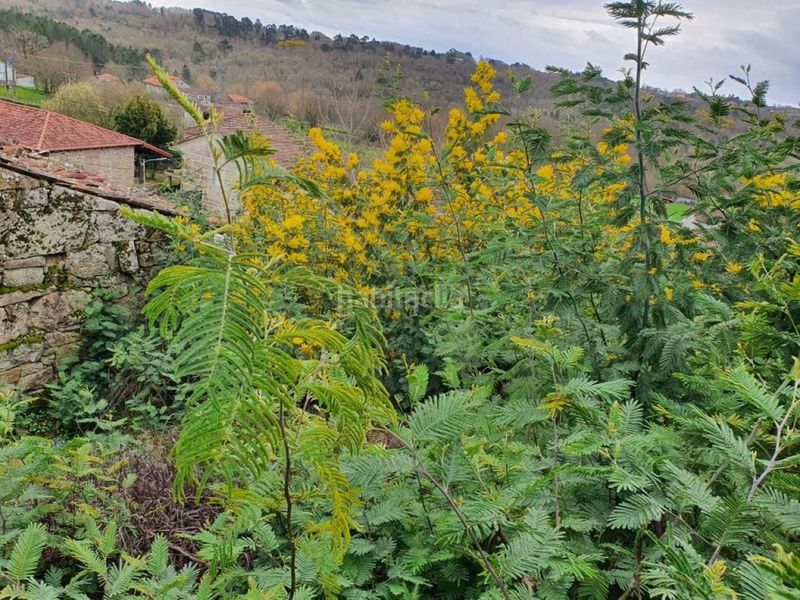 Foto d3de5b59-2075-49e1-9693-f0d518bc53ac. Casa a Amoeiro