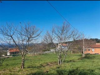 Residential Plot in Celanova. Finca en celanova