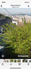 Residential Plot in O casal (sampaio) 21