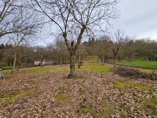 Terreny residencial a Coles. Se vende finca en cima de vila  pereiro de aguiar