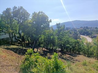 Residential Plot in Castrelo de Miño. Finca edificable en ramiras