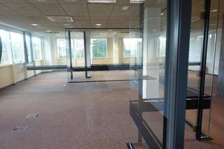 Alquiler Oficina en Artatza-Pinueta-Pinosolo. Oficina en alquiler en leioa