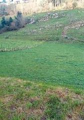 Residential Plot in Arredondo