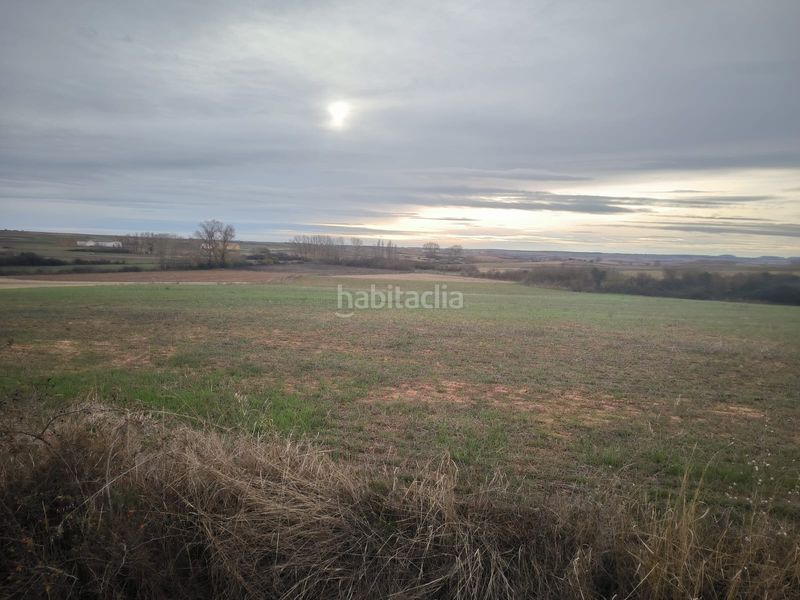 Foto 80e94a50-3251-4c95-a983-05a6b381f567. Casa a tagarrosa 9 a Melgar de Fernamental